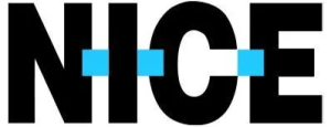nice-web-logo (2) 1
